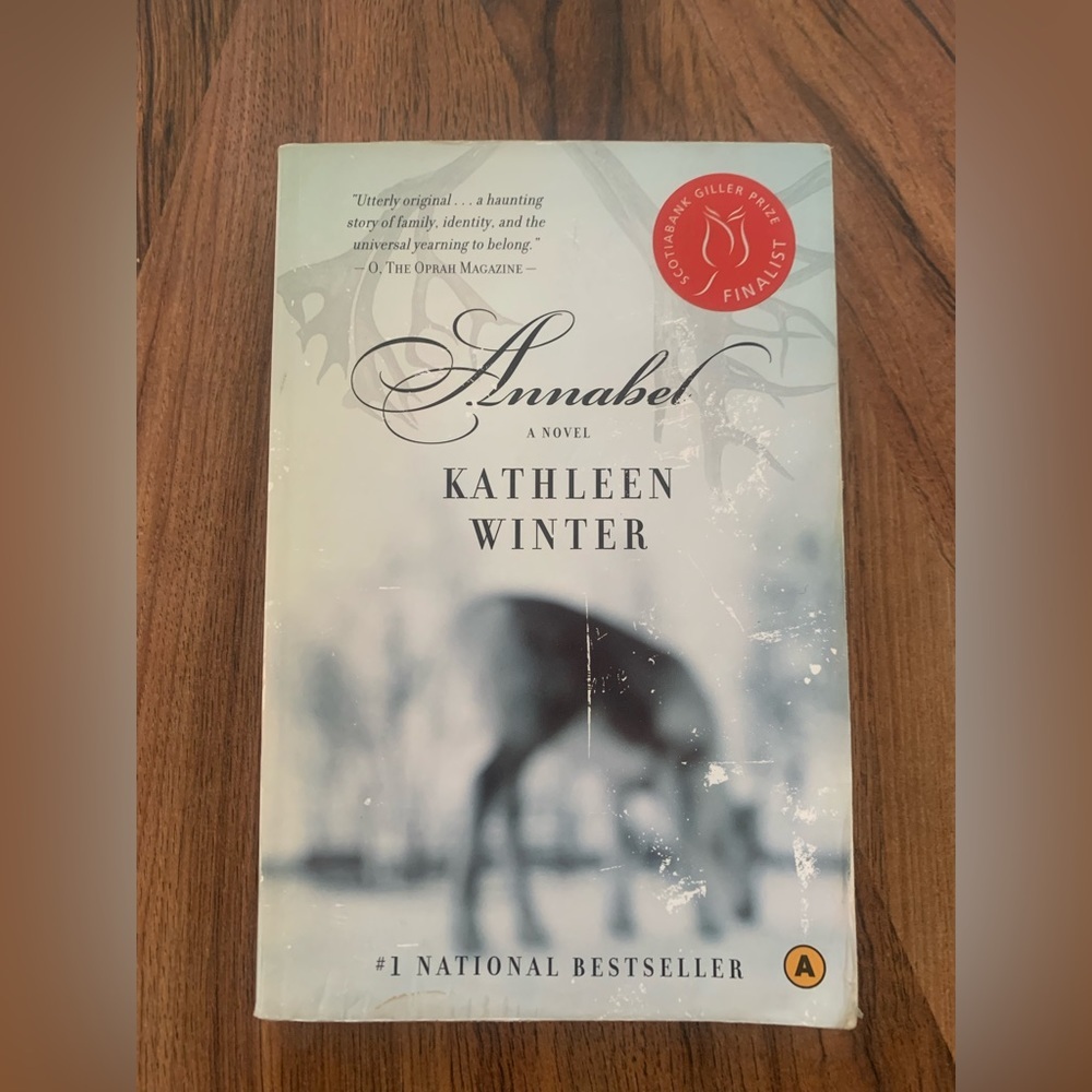 📚2/$12📚 Novel: Annabel by Kathleen Winter